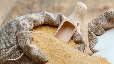 AFRICA: Mauritania launches $446M project to insure sugar self-Ssufficiency | Revue de presse - Club DEMETER | Scoop.it