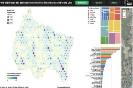 La R&eacute;gion Grand Est enrichit son portail de donn&eacute;es territoriales | Regards crois&eacute;s sur la transition &eacute;cologique | Scoop.it