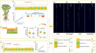 Deciphering the genetic basis of nodule number through integrative analysis of host genotype and endophytes  | Plant-Microbe Symbiosis | Scoop.it