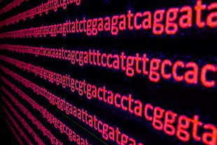 RAMBO speeds searches on huge DNA databases | Amazing Science | Scoop.it