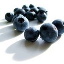 50 Superfoods to Lose Weight. | TreadmillCoupons.com Blog | Bodybuilding & Fitness | Scoop.it