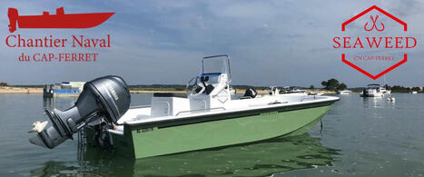 Seaweed, le bateau en aile de mouette made in Cap Ferret | CCI Bordeaux Gironde | Entreprises &agrave; Bordeaux et en Gironde | Scoop.it