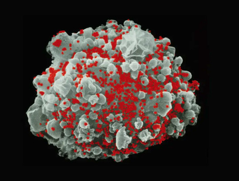 Used in Covid Shots, mRNA May Help Rid the Body of HIV | Virus World | Scoop.it