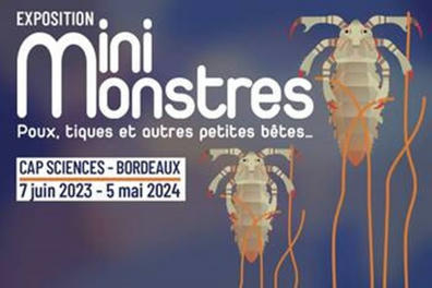 Poux, puces, moustiques… Immersion dans le monde des mini-monstres | Variétés entomologiques | Scoop.it