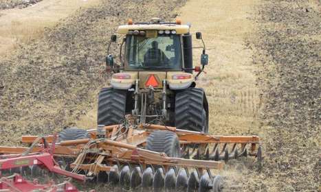 L&rsquo;int&eacute;r&ecirc;t du "non labour" confirm&eacute; | EntomoNews | Scoop.it