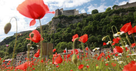 Besan&ccedil;on. Budget fleurissement multipli&eacute; par cinq&nbsp;: Ludovic Fagaut et Guillaume Bailly misent sur le pouvoir des fleurs | Revue de presse | L'habitat & son environnement dans le Doubs : Architecture. Urbanisme. Environnement. Paysage. Logement | Scoop.it