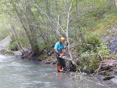 Travaux d'entretien des boisements de berges - octobre 2016  - Contrat de rivière Arly.Doron.Chaise | Biodiversité | Scoop.it