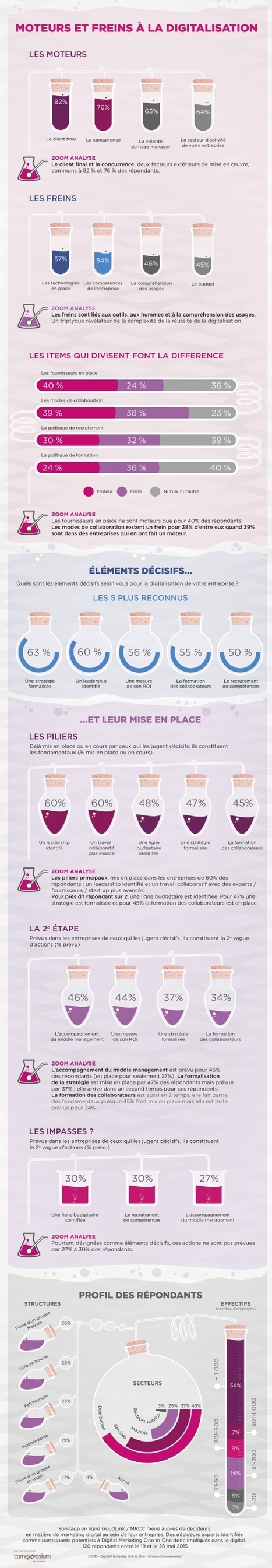 Infographie | Où en est la digitalisation des entreprises ? | Digital infographics | Scoop.it