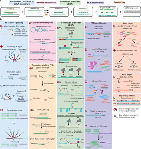 A practical guide to targeted single-cell RNA sequencing technologies | ComB | RMH | Scoop.it