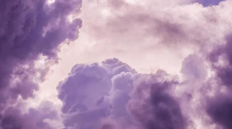 La biodiversit&eacute;, un outil pour le futur - Conf&eacute;rence de Marc-Andr&eacute; Selosse&nbsp;- Espace des sciences | Biodiversit&eacute; | Scoop.it