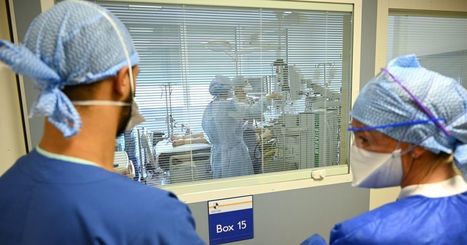 Le Covid-19 a fait plus d'un million de morts dans le monde: la mortalité par rapport aux autres épidémies | Actualités Corona Virus | Scoop.it