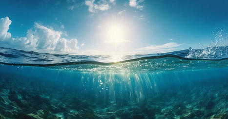 Une vague de chaleur sans précédent affecte 44 % des océans de la Planète | Biodiversité & Relations Homme - Nature - Environnement : Un Scoop.it du Muséum de Toulouse | Scoop.it