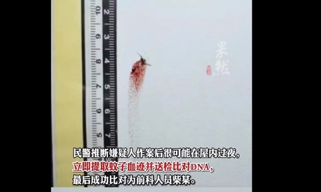 Chine : deux moustiques permettent d’arrêter un voleur culotté | Variétés entomologiques | Scoop.it