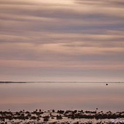 Journée Mondiale des Zones Humides - La Camargue | Camargue Nature | Scoop.it