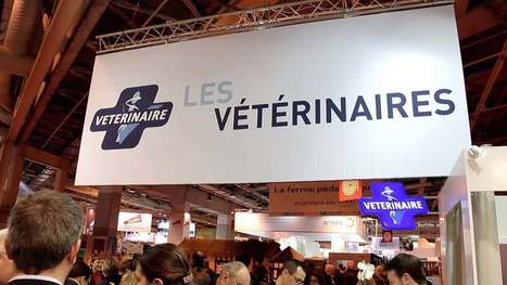 Contractualisation vétérinaire : une fausse bonne idée ? | Lait de Normandie... et d'ailleurs | Scoop.it