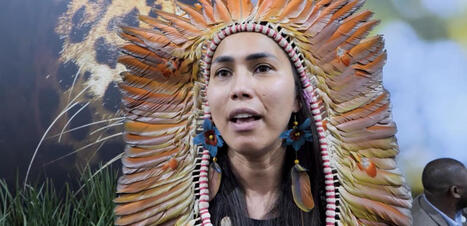 COP30 au Brésil : une COP des peuples ? | Écosystèmes Tropicaux | Scoop.it