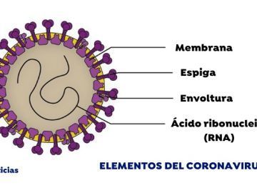 #COVID-19 #Agenda2030 #ODS – Recomendación sobre ERES y ERTES de una experta | Empresa Sostenible | Scoop.it