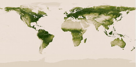 NOAA's new interactive map shows all the vegetation on planet Earth | Daily Magazine | Scoop.it