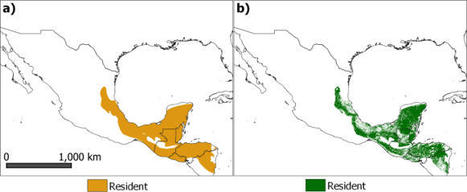 Area of Habitat maps for the world’s terrestrial birds and mammals-Scientific Data | Biodiversité | Scoop.it