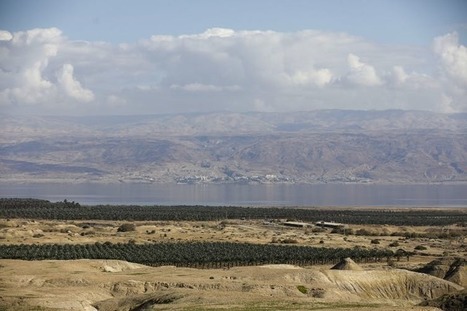 Cisjordanie : les palmiers de la discorde | CIHEAM Press Review | Scoop.it
