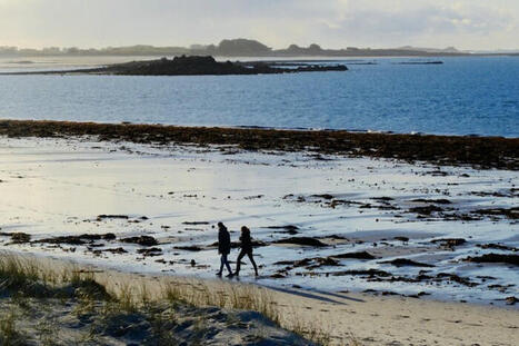 Les plages bretonnes restent polluées, même sans touristes | Toxique, soyons vigilant ! | Scoop.it