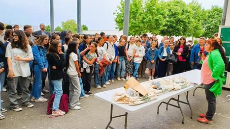 Ces lycéens et collégiens de la Marne avaient la bosse des maths lors de la finale départementale du Rallye mathématique | Le fil d'actualités de l'URCA | Scoop.it