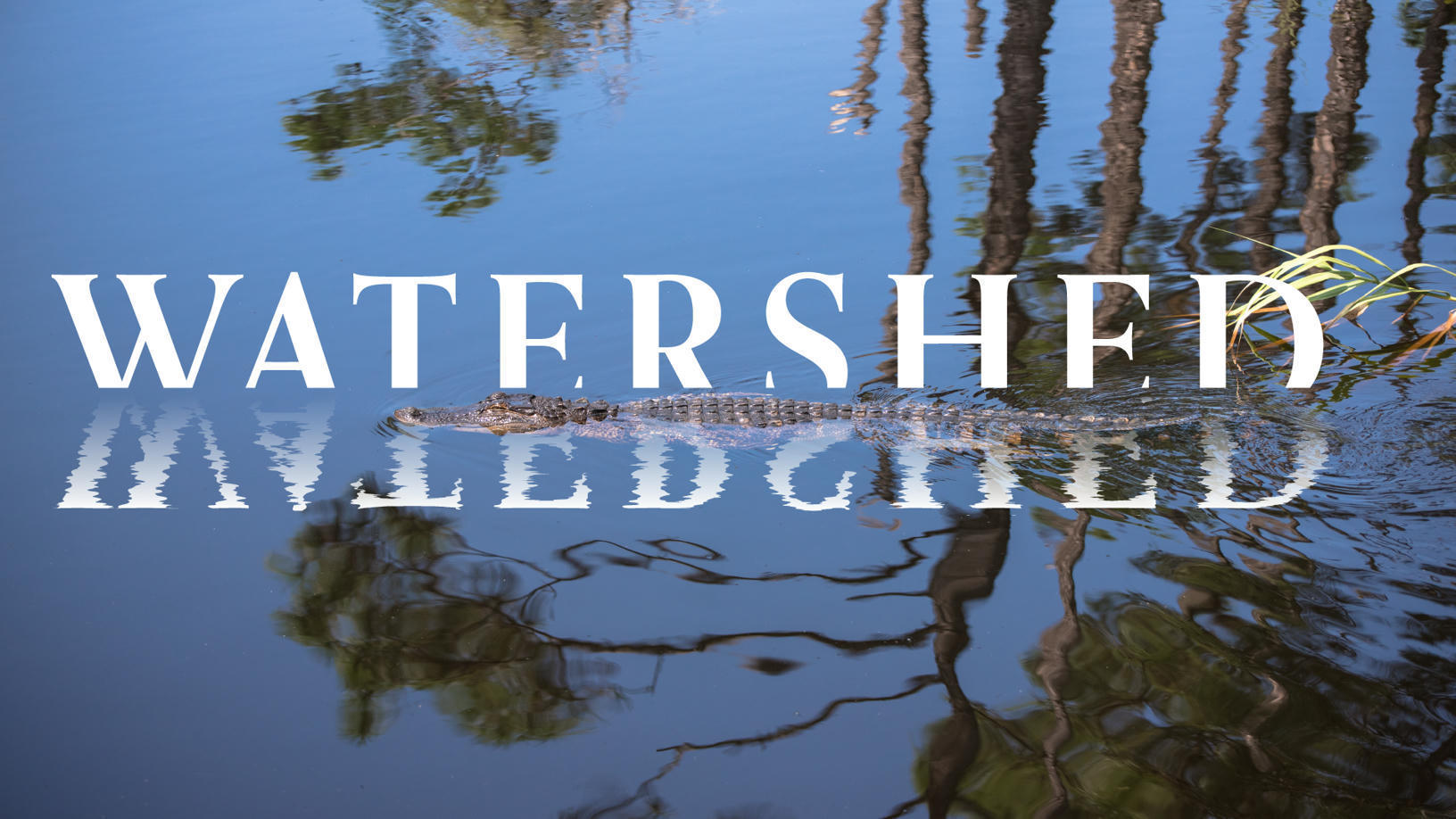 watershed-part-1-an-investigation-into-statewi