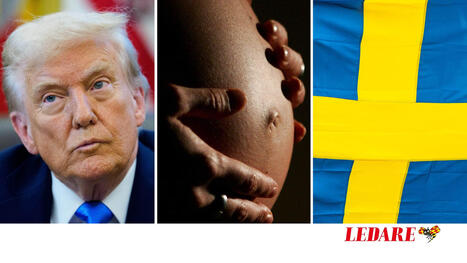 Trump slaktade bist&aring;ndet till kvinnor &ndash; Sverige kan hj&auml;lpa | 1Uutiset - Lukemisen t&auml;hden | Scoop.it
