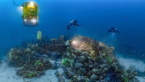 Planète Méditerranée - Regarder le documentaire complet | Biodiversité | Scoop.it