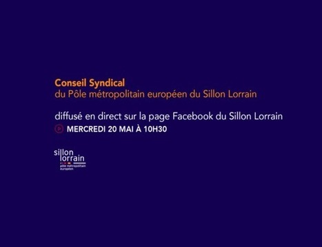 Conseil Syndical du PMESL diffusé en direct le 20 mai 2020 sur Facebook : Sillon Lorrain | Veille locale des Bibliothèques-Médiathèques de Metz | Scoop.it