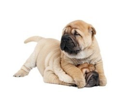 Lose Baby Weight Tips on How to prevent loose skin | Bodybuilding & Fitness | Scoop.it