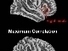 Evidence builds that meditation strengthens the brain, UCLA researchers say / UCLA Newsroom | Educational Psychology, AI, & Emerging Technologies: Critical Thinking on Current Trends | Scoop.it