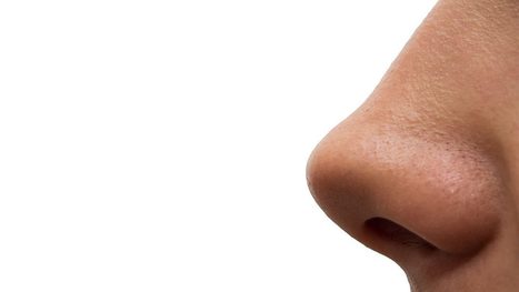 Five genes identified that give your nose its shape | Amazing Science | Scoop.it