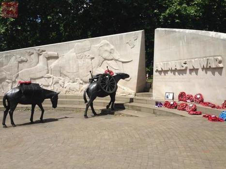 Saumur. La Ville fête le centenaire de 1916 et remet le cheval à l'honneur | Autour du Centenaire 14-18 | Scoop.it
