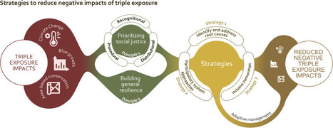 Triple exposure: Reducing negative impacts of climate change, blue growth, and conservation on coastal communities | RSE et Développement Durable | Scoop.it