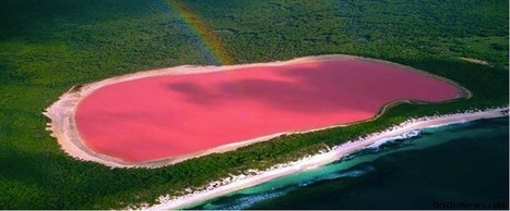 ✪ Paysage du Sénégal : le Lac Rose ou Lac Retba | Actualités Afrique | Scoop.it
