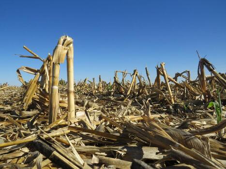 Study: Iowa State researchers look at using ag waste to plug orphan wells, sequester carbon | The Gazette | Industry 411 - Waste Management | Scoop.it