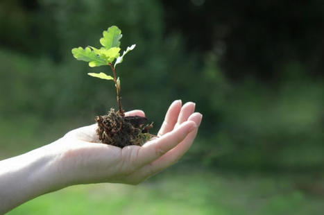 Teva Sets Ambitious Long-Term Environmental Goals As Part of Renewed ESG Strategy | Sustainable Procurement & CSR News - Pharmaceutical Industry | Scoop.it