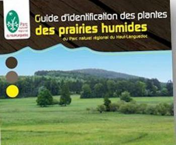 Mazamet. L'inventaire des plantes des prairies humides | Zones humides - Ramsar - Océans | Scoop.it