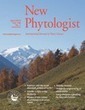 Hydrogen peroxide-regulated genes in the Medicago truncatula–Sinorhizobium meliloti symbiosis - Andrio - 2013 - New Phytologist - Wiley Online Library | Plant-Microbe Symbiosis | Scoop.it