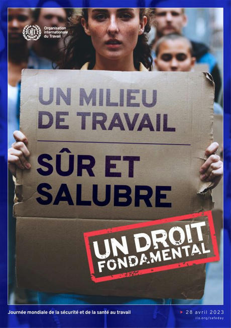 "Dérèglements climatiques et santé au travail" : les propositions dévoilées en séance plénière du CESE le 25 avril prochain | Variétés entomologiques | Scoop.it