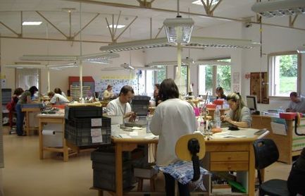 Hermès tisse sa toile en Charente : mise en place d'une filière d'excellence sur les peaux de veau de Chalais (16) | La Gazette des abattoirs | Scoop.it