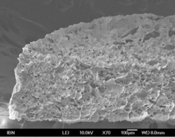 Engineered artificial human livers for drug testing and discovery | KurzweilAI | Longevity science | Scoop.it