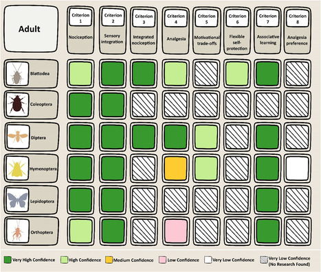 Les insectes souffrent-ils ? - Le Parisien | EntomoNews | Scoop.it
