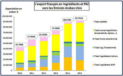 Arabie Saoudite et Egypte, deux destinations export pour les ingrédients et PAI laitiers | Lait de Normandie... et d'ailleurs | Scoop.it