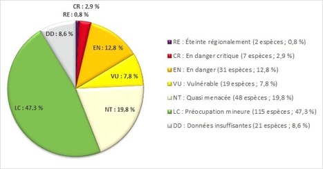 Liste rouge des Rhopalocères et Zygènes d'Occitanie | EntomoNews | Scoop.it