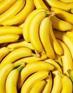 Bill Gates Funds Risky, Unproven, Unregulated, Unlabeled GMO Bananas for pregnant women in India: The Dangers of Vitamin A Fortification & Overdose | YOUR FOOD, YOUR ENVIRONMENT, YOUR HEALTH: #Biotech #GMOs #Pesticides #Chemicals #FactoryFarms #CAFOs #BigFood | Scoop.it