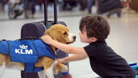 KLM airlines' 'lost and found dog' is a fake marketing stunt | consumer psychology | Scoop.it