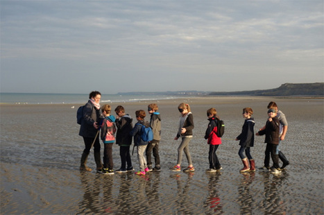 51 nouvelles écoles labellisées "Aire marine éducative" | Biodiversité | Scoop.it