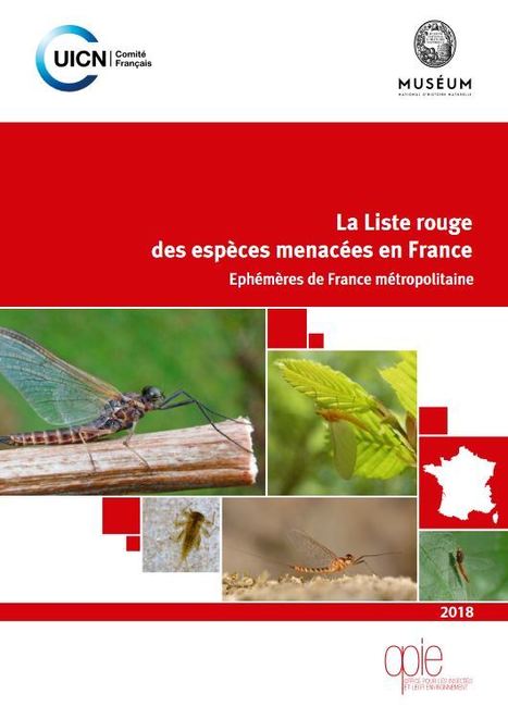 Le fascicule de la Liste rouge des éphémères de France métropolitaine | Insect Archive | Scoop.it